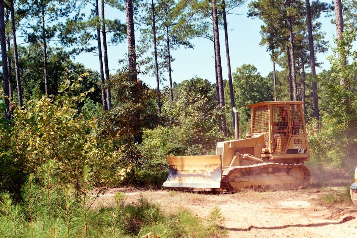 Dozer clearing brush in a wooded lot
